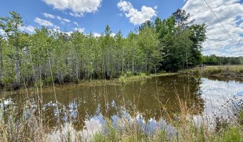 337 Weathers Farm Rd, Bowman, SC 29018