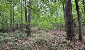 Lot 3a Elberton Highway, Lincolnton, GA 30817