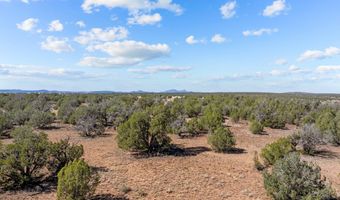 0 Parcel 100 Juniperwood Rnch, Ash Fork, AZ 86320