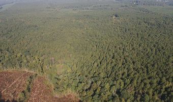 0 Markham Rd, Bradley, SC 29819