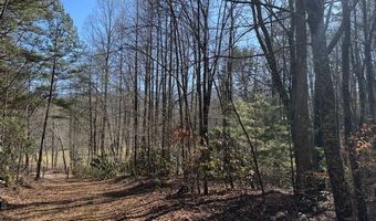 1834 Bristol Ave, Andrews, NC 28901