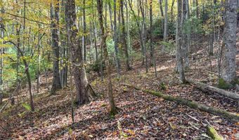 345 Christa Ln, Arden, NC 28704