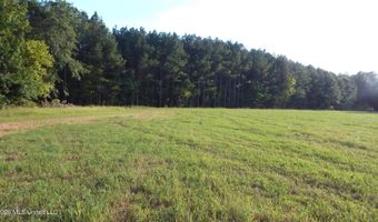 500 Cr 247 Country Rd, Bruce, MS 38915