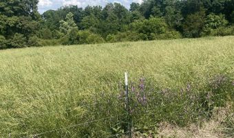 19 27 Acres County Road 656, Anderson, AL 35610
