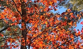 345 Heron Point Rd, Alton, NH 03809