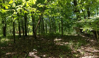 28 Mile Rd, Albion, MI 49224