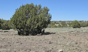 Ten Tanks Rd lot 6, Ash Fork, AZ 86320