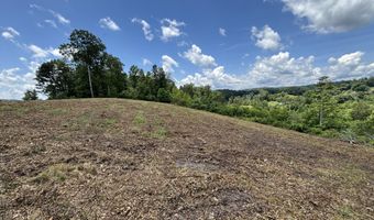626 Sportsman Ln, Andersonville, TN 37705