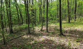 566 A Tunnel Ridge Rd, Argillite, KY 41121