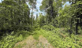 Samuelson Road-Sec22, Angora, MN 55703