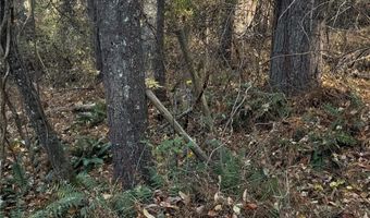 99999 Macedonia Rd, Alexander, NC 28701