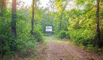 0 DM TILLMAN, Baxley, GA 31563