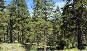 1224 Woodside Rd, Cascade, ID 83611