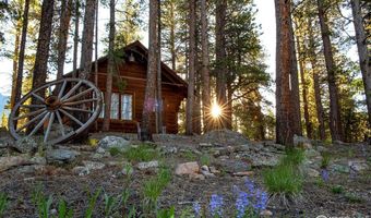 1217 Big Owl Rd, Allenspark, CO 80510