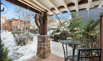 119 E Cooper Ave #5, Aspen, CO 81611