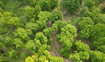 TBD OFF CR 426, Arnold, MI 49819