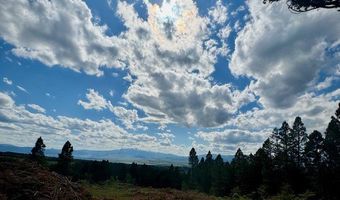 NHN Perkins Gulch Road, Anaconda, MT 59711