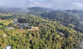 19 Woodchuck Cove Way, Alexander, NC 28701