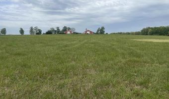 Tract 3 County Road 155, Anderson, AL 35610