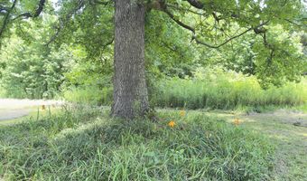 535 Hwy 32 W, Bruce, MS 38915