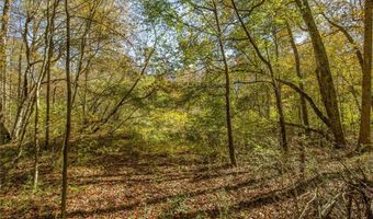 335 Wages Rd, Auburn, GA 30011