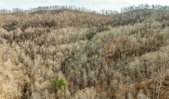 9999 Honeycutt Branch Turkey Crk, Barbourville, KY 40906