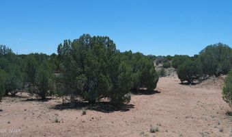 30 N9220, Concho, AZ 85924