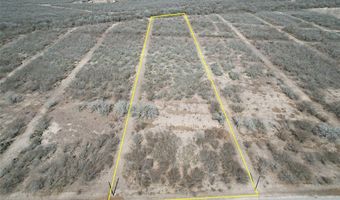 179 County Road 1461 Lot 9, Alice, TX 78332