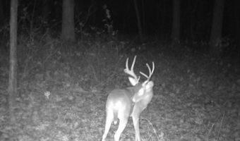 Whiskey Creek Lane, Batesville, AR 72501