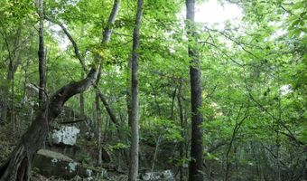 Whiskey Creek Lane, Batesville, AR 72501