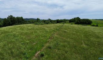 120 Carnes Chapel Rd, Attalla, AL 35954