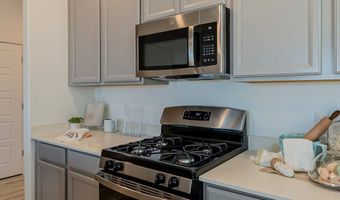 8564 S PLACITA REATA, Vail, AZ 85641