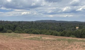 1751 Forest Service Rd 163, Clay Springs, AZ 85923