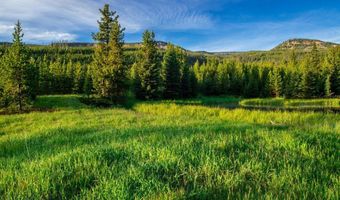 Trout Pond Lane lot 7, Big Sky, MT 59716