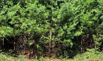 Lot 2 Chloe Way 25 Falmouth Road Road, Falmouth, ME 04105