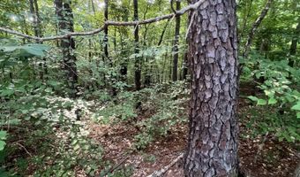 0 ANDREW JACKSON Rd 19, Alexander City, AL 35010