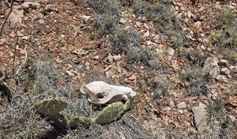 450 Arizona Rd, Ash Fork, AZ 86320