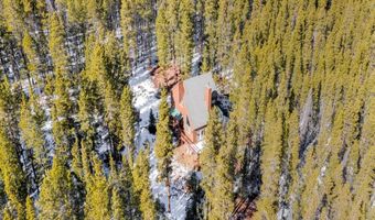 218 GOLDEN CROWN Ln, Blue River, CO 80424