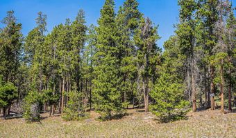 Hwy 119, Black Hawk, CO 80422