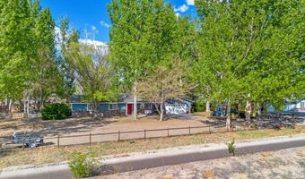5400 Bottom Rd, Fallon, NV 89406