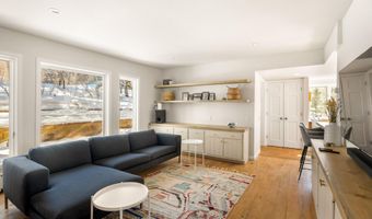 1036 Red Mountain Rd, Aspen, CO 81611