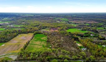 Beaver Road, Alexander, NY 14005