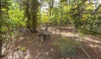 452 QUARTZVILLE Rd, Alma, CO 80420