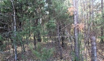 Red Lake Road, Albany, OK 74726
