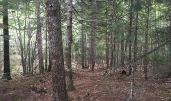 B-2BackLot Pioneer Path, Aurora, ME 04605