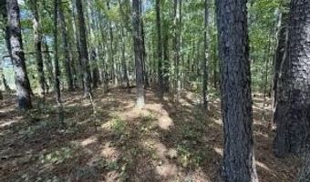 1 Massengill Pond Rd, Angier, NC 27501