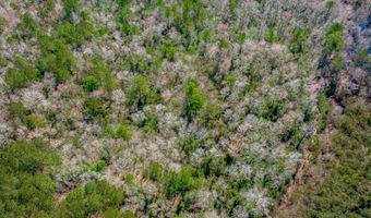 624 Senterfeit Rd, Batesburg, SC 29006