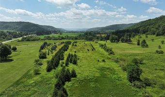 3723 W Five Mile Rd, Allegany, NY 14706