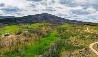 529 Quartz Rd, Bellvue, CO 80512