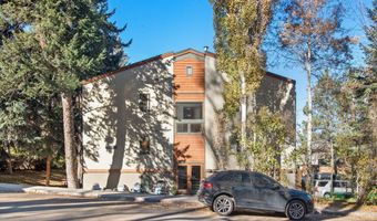 910 W Hallam St 11, Aspen, CO 81611